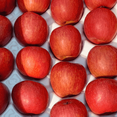 사과 [에코농산] 고당도 과육단단 청송 부사 꿀사과 10kg