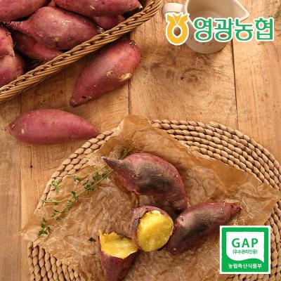 김의준 고구마 [영광농협] 22년 햇 꿀청고구마 맛있는 꿀고구마 5kg (특), 1개