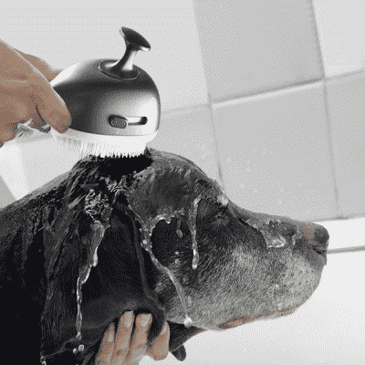 애견셀프목욕 뉴비펫 부드러운 고래 샤워기 헤드 강아지 애견 샤워 목욕 브러쉬, 뉴비펫 고래 샤워기 헤드, 단일상품