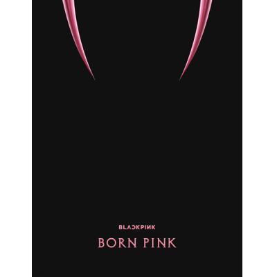 블랙핑크앨범 블랙핑크 - 2nd ALBUM BORN PINK BOX SET 랜덤발송